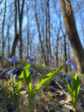 Сергей Желновач: Гидрометцентр сообщает. 28 марта в Республике переменная облачность, без существенных осадков