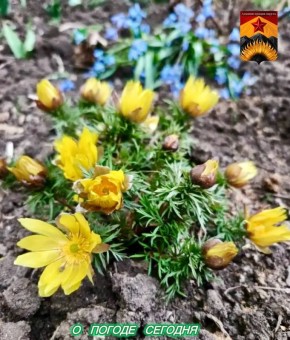 Александр Шатов: Гидрометцентр сообщил о погоде в Шахтерском округе