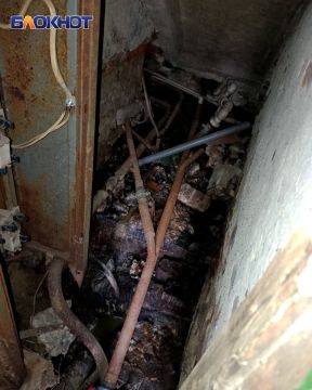 ���� ������� �� ������ �� ������ ������ ������� ���� ������� �����������