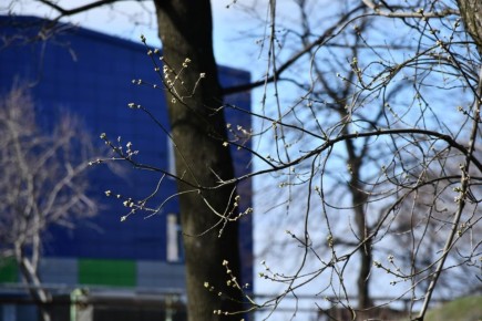 ������ ��������: ������������� ��������. 29 ����� � ���������� ���������� ����������, ����� ��� �������, ���� ������� ��������� �����