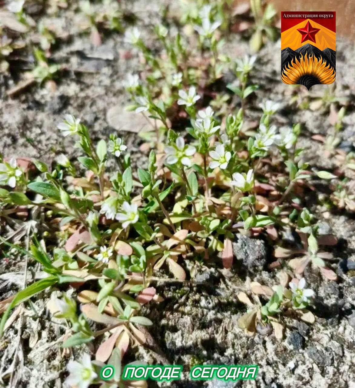 Гидрометцентр сообщил о погоде в Шахтерском округе