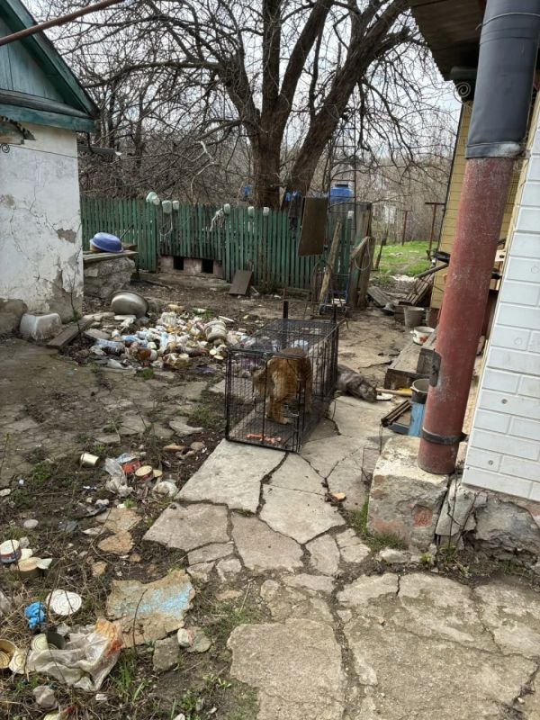 В Амвросиевском муниципальном округе ведётся работа по отлову безнадзорных животных В Амвросиевском муниципальном округе ведётся работа по отлову безнадзорных животных