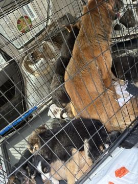 � ������������� ������������� ������ ������ ������ �� ������ ������������ ��������