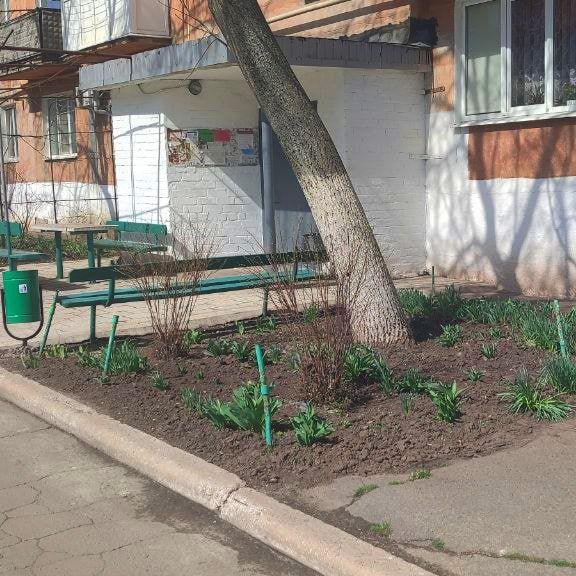 Кировчане провели субботник во дворах Кировчане провели субботник во дворах
