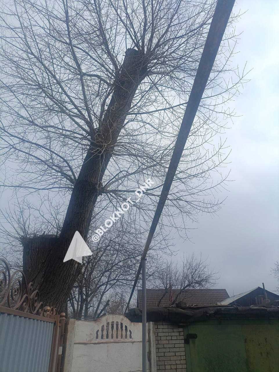 В Кировском районе Донецка управа и УК не могут обрезать аварийные деревья с 2017 года В Кировском районе Донецка управа и УК не могут обрезать аварийные деревья с 2017 года