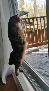 ��� �� ������� �� ����� � �� �������, � �� ��������, ��� ������: