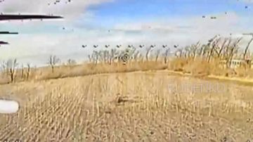 ������ �������: ��������� ����������� ������ ������ ����������� ����� ���������� �������� ���������������� �������� ���������� �� ���������� �����������