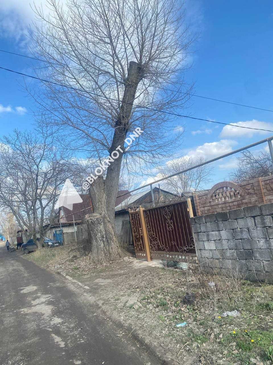 В Кировском районе Донецка управа и УК не могут обрезать аварийные деревья с 2017 года В Кировском районе Донецка управа и УК не могут обрезать аварийные деревья с 2017 года