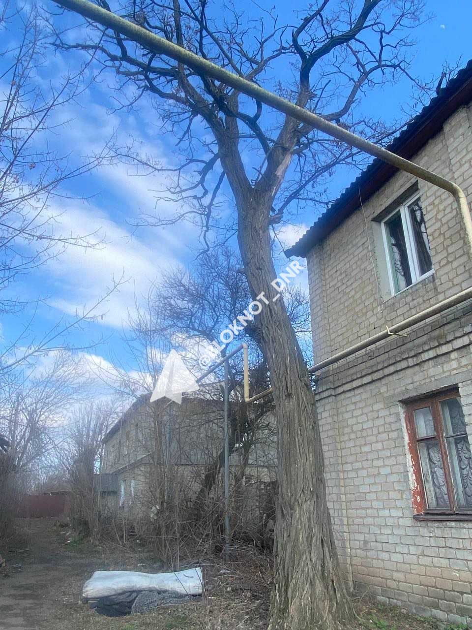 В Кировском районе Донецка управа и УК не могут обрезать аварийные деревья с 2017 года В Кировском районе Донецка управа и УК не могут обрезать аварийные деревья с 2017 года