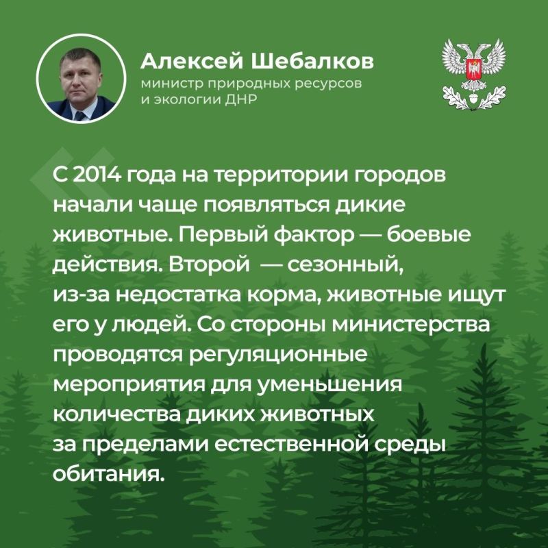 Министр природных ресурсов и экологии ДНР Алексей Шебалков а ходе прямого эфира ответил на вопросы граждан в сфере экологии и природопользования, в частности, какие реки будут расчищены, какой ущерб лесам Республики нанесен... Министр природных ресурсов и экологии ДНР Алексей Шебалков а ходе прямого эфира ответил на вопросы граждан в сфере экологии и природопользования, в частности, какие реки будут расчищены, какой ущерб лесам Республики нанесен...