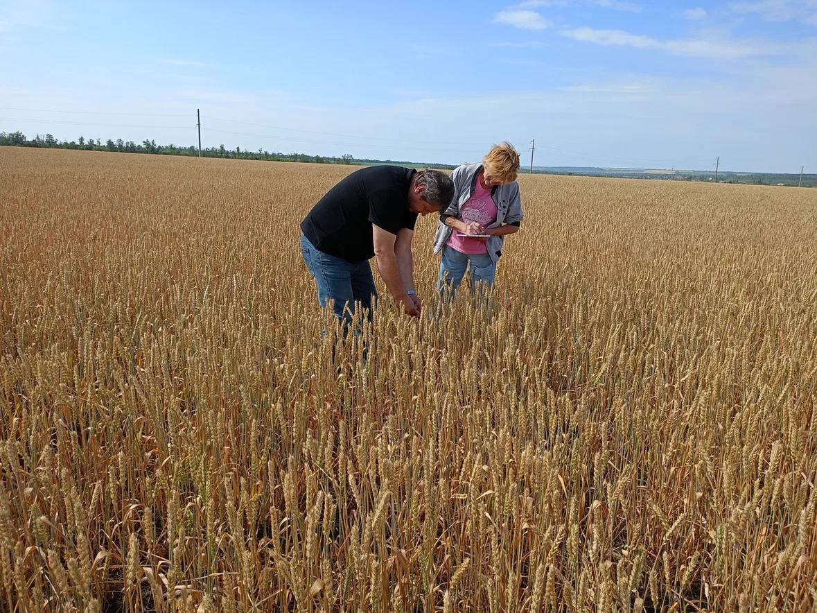 Борис Трима: Мангушский межрайонный отдел проверил в 2025 году более 16,7 тыс