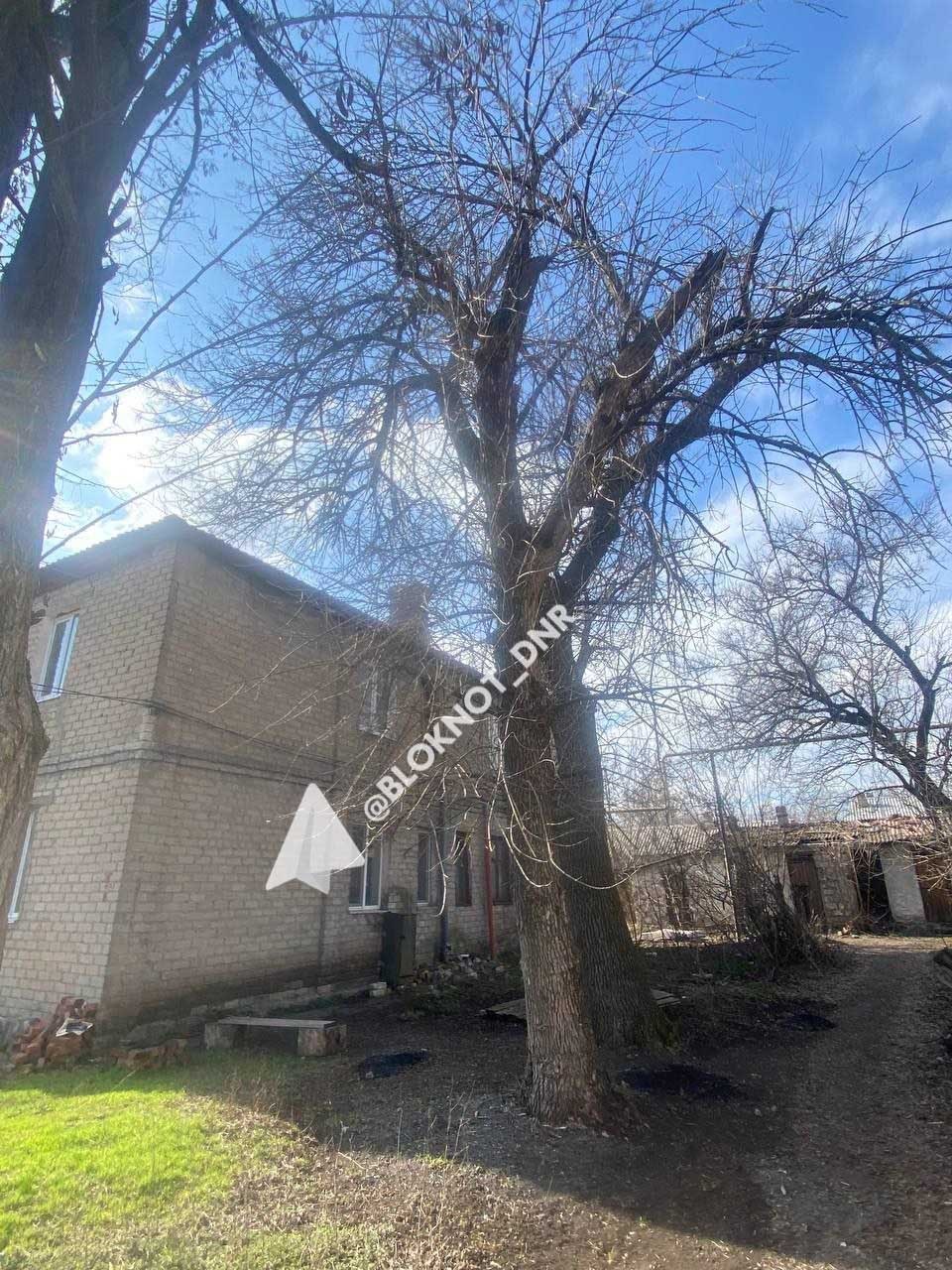 В Кировском районе Донецка управа и УК не могут обрезать аварийные деревья с 2017 года В Кировском районе Донецка управа и УК не могут обрезать аварийные деревья с 2017 года