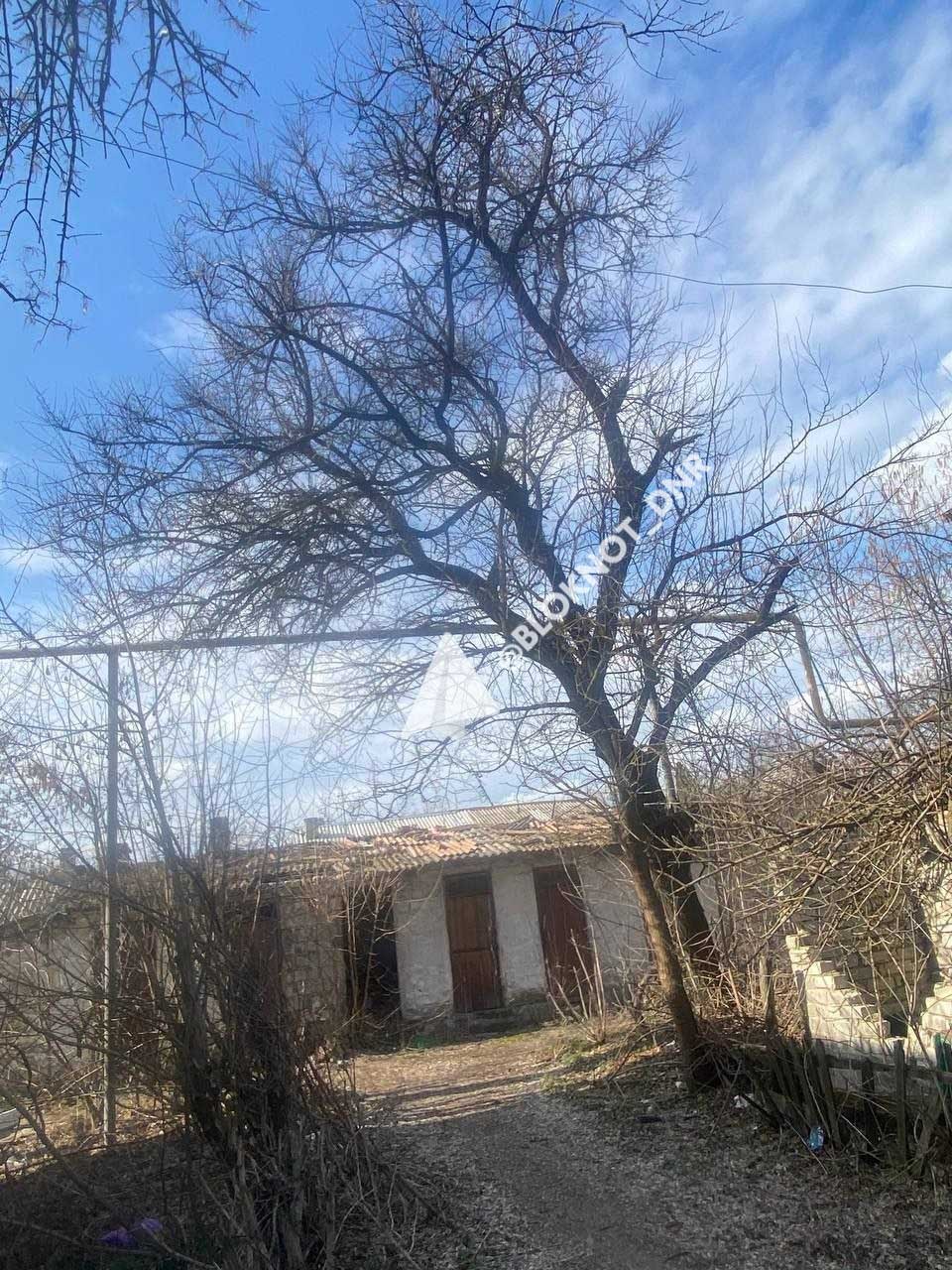 В Кировском районе Донецка управа и УК не могут обрезать аварийные деревья с 2017 года В Кировском районе Донецка управа и УК не могут обрезать аварийные деревья с 2017 года