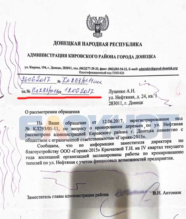 В Кировском районе Донецка управа и УК не могут обрезать аварийные деревья с 2017 года В Кировском районе Донецка управа и УК не могут обрезать аварийные деревья с 2017 года