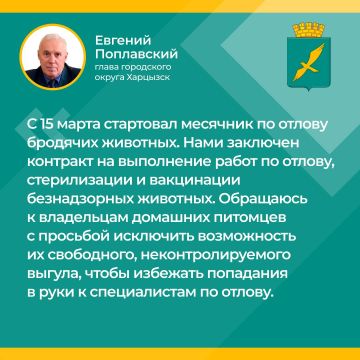 Евгений Поплавский: Итоги прямого эфира. О бродячих животных