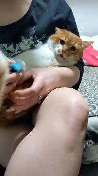 ��� ��� ��������� �������: