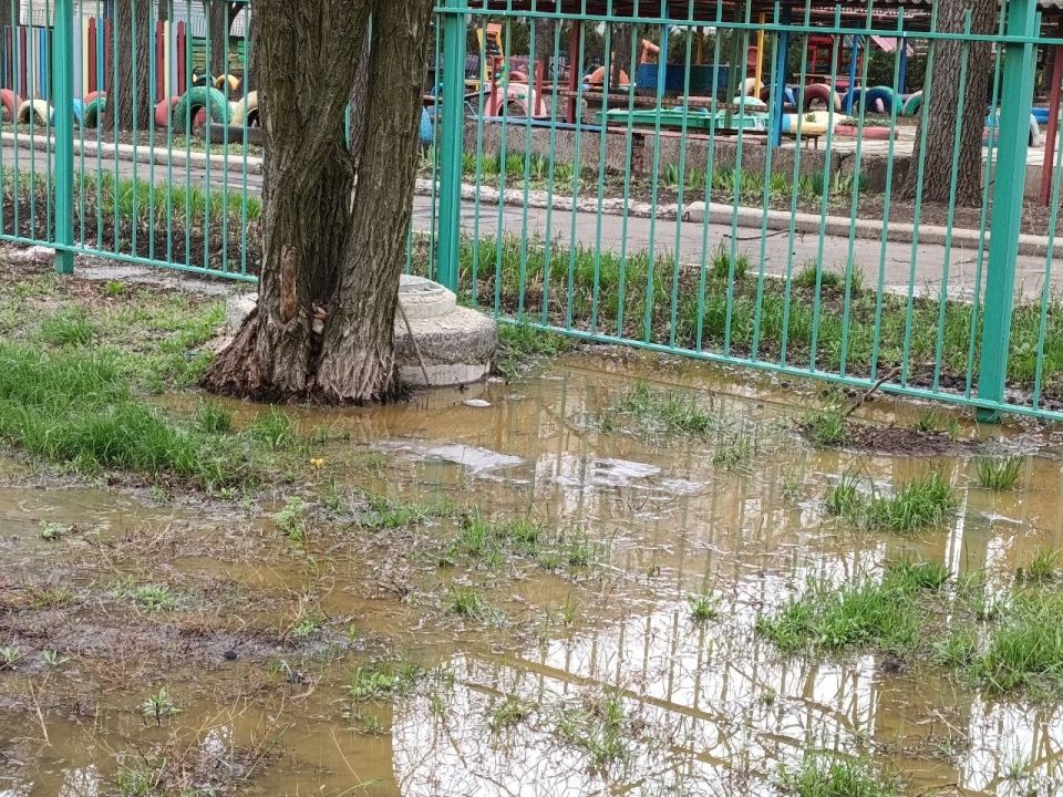 �������� ��������:. ��� ���������� ������, ��������, ������������ ����� ������ ������� ����������� - ����� ������