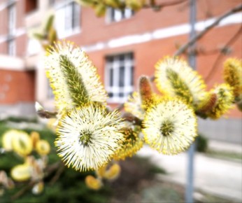 1 ������ � ���������� ���������� ����������, ���� ������� ��������� �����