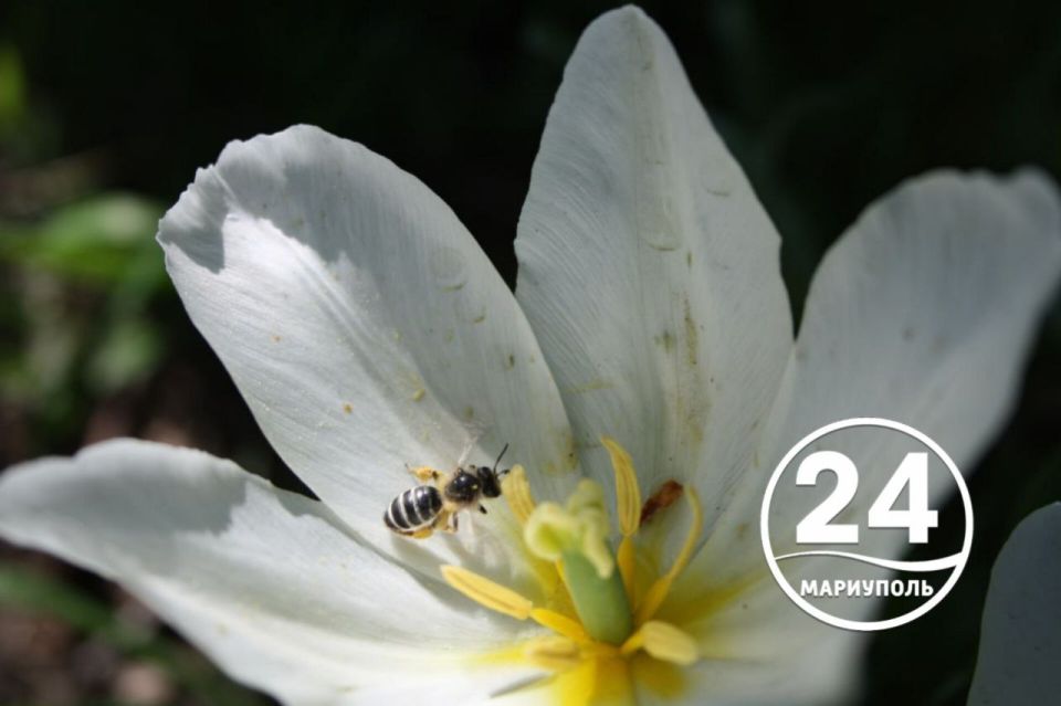 � ������ �����, ���������!