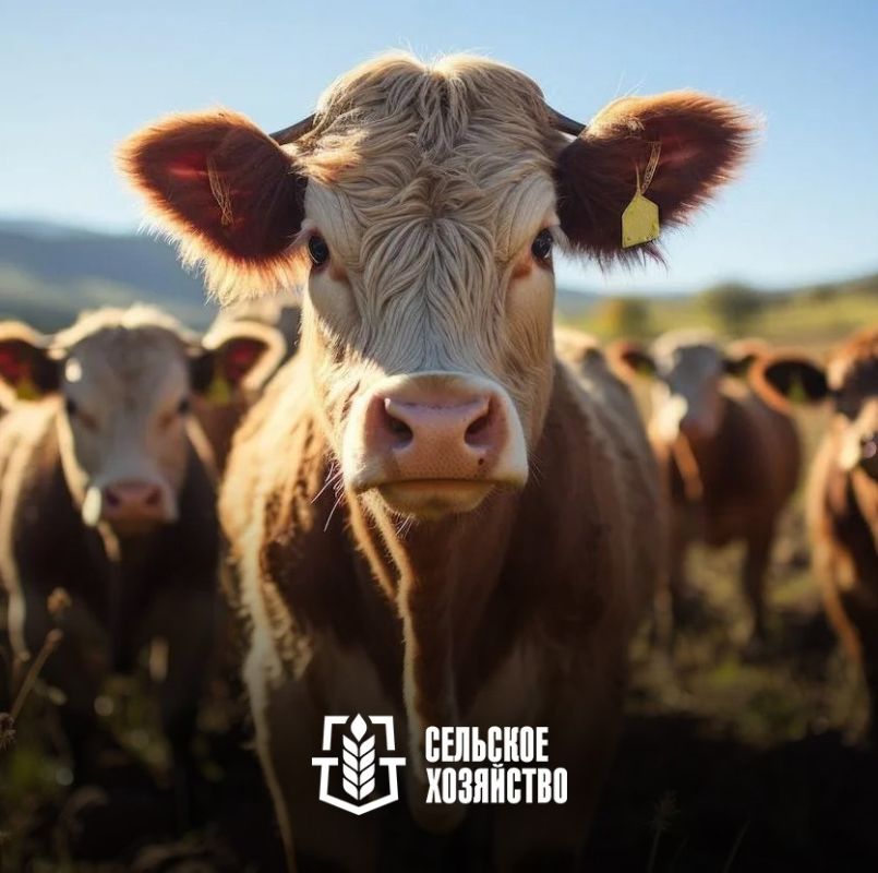 ����������� ��� � ������ ������� ���� ������ �� ��������� �������� �� ��������� ���������� �������������� �������������������� �������������������� � ����� ���������� ����� ������ �� ������������ ���������� ���������...