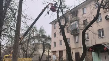 ����� � ����� ����������: � ������� ���������� ���������� ���������� ������