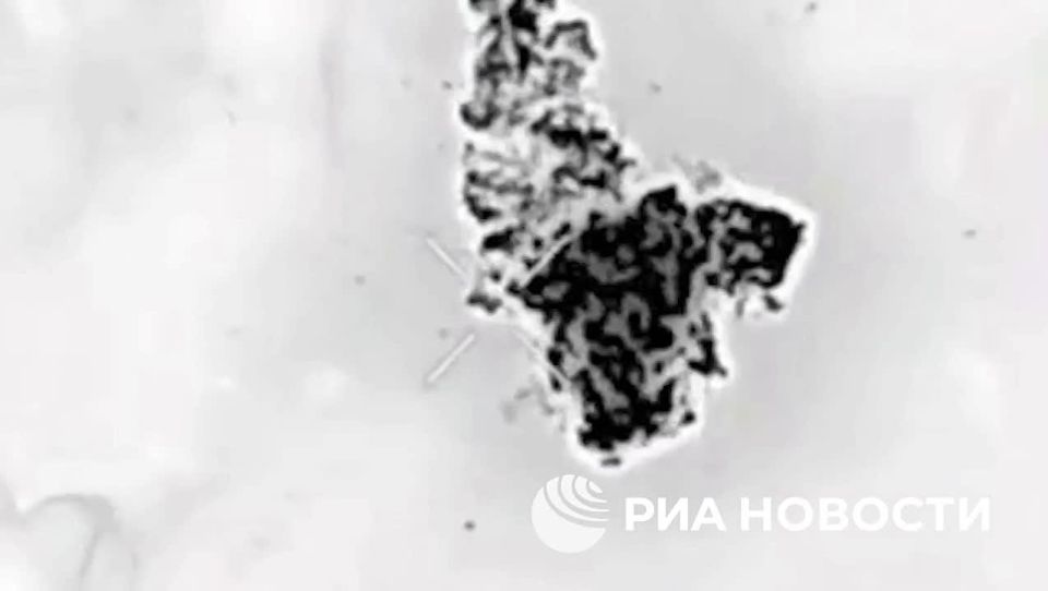 ������� ��� ���������� �� ������������� ����������� ������� ����� ����������� "�����", �������� ����������