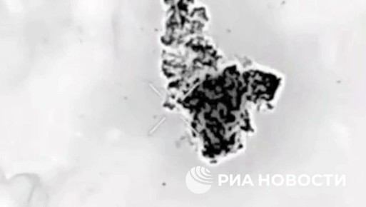 ������� ��� ���������� �� ������������� ����������� ������� ����� ����������� "�����", �������� ����������