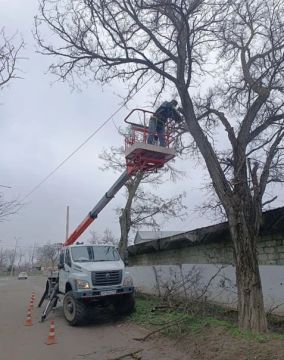 ���������� ����������� ���� ��������� ��������� � ������� ���������