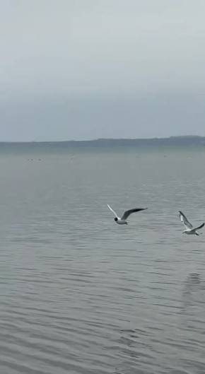 ����� �� ��������� ������ ������ ������� � ������ ����� �� ��������, ��� ������� �� ����������� ��� �������������� ������ �������� � ��������� �� ����������� ������ � ����������� ������ ��������