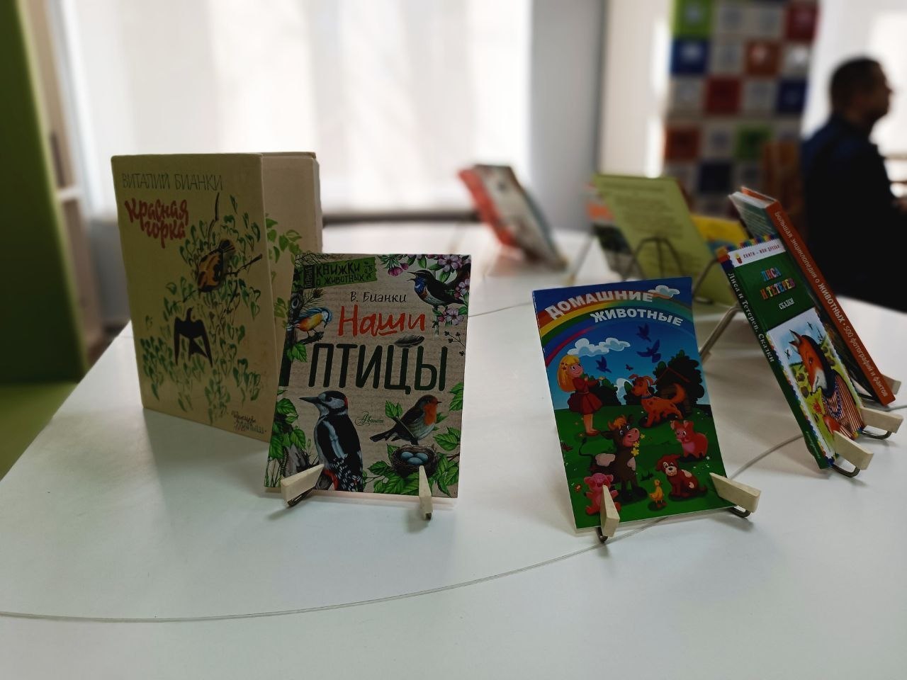 Экологическая игра «Знатоки птиц» Экологическая игра «Знатоки птиц»