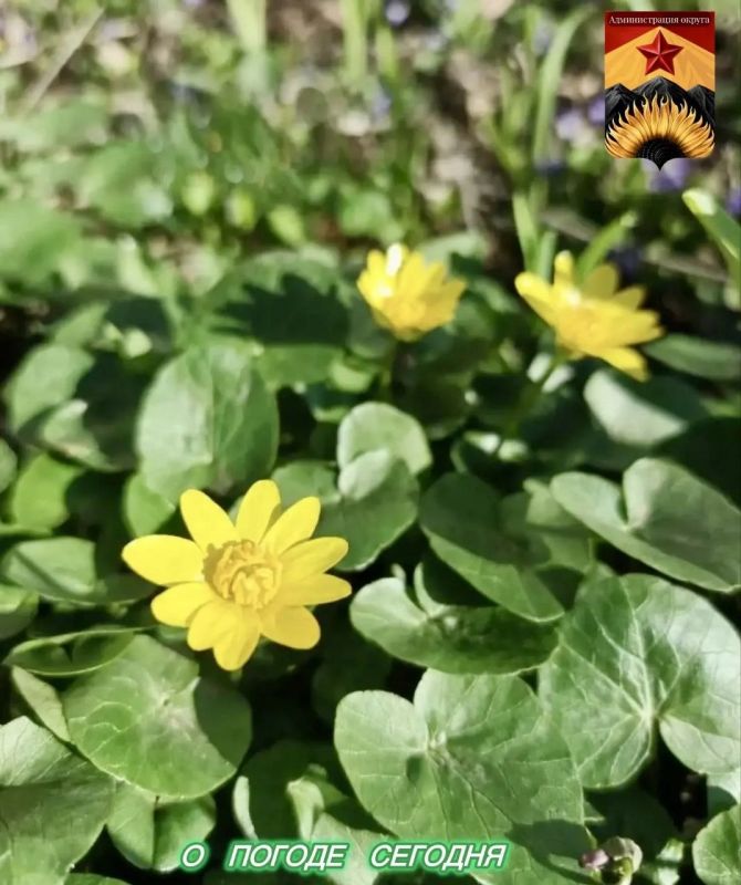 Александр Шатов: Гидрометцентр сообщил о погоде в Шахтерском округе