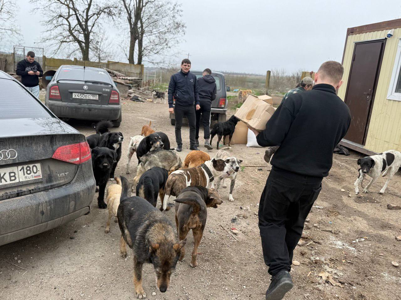 Молодые сторонники партии Мангушского округа начали свою деятельность с заботы о бездомных животных Молодые сторонники партии Мангушского округа начали свою деятельность с заботы о бездомных животных