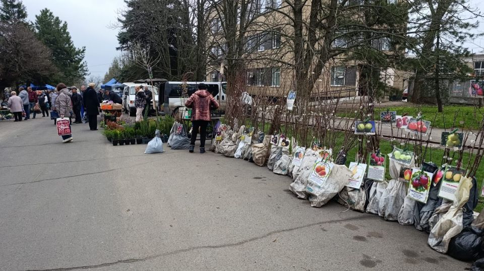 В поселке Старобешево прошла выездная торговая ярмарка В поселке Старобешево прошла выездная торговая ярмарка