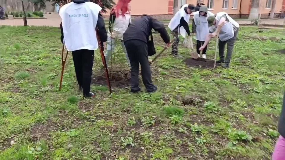 В Амвросиевке прошли мероприятия по расширению «Сада Памяти» в рамках реализации нацпроекта «Экологическое благополучие»