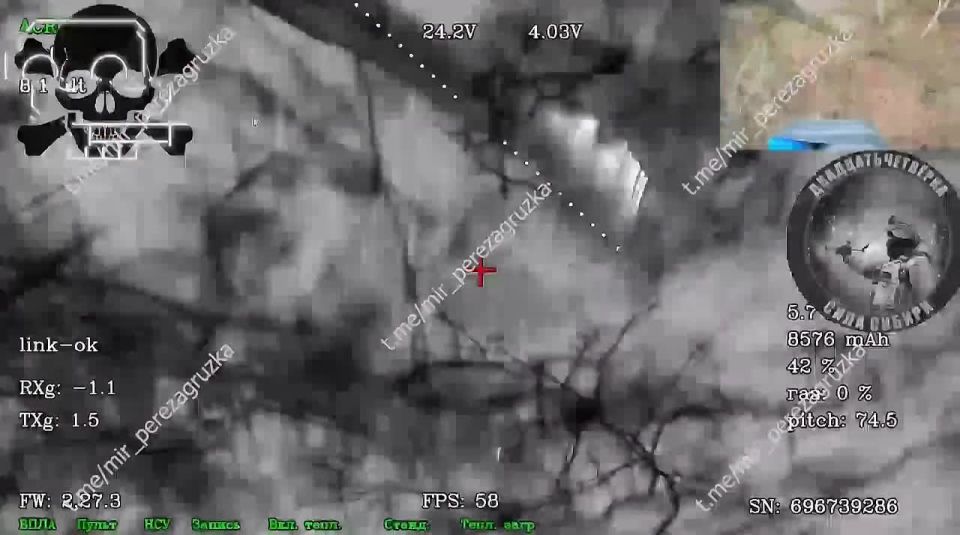 Новые подробности краха колонны ВСУ под Покровском