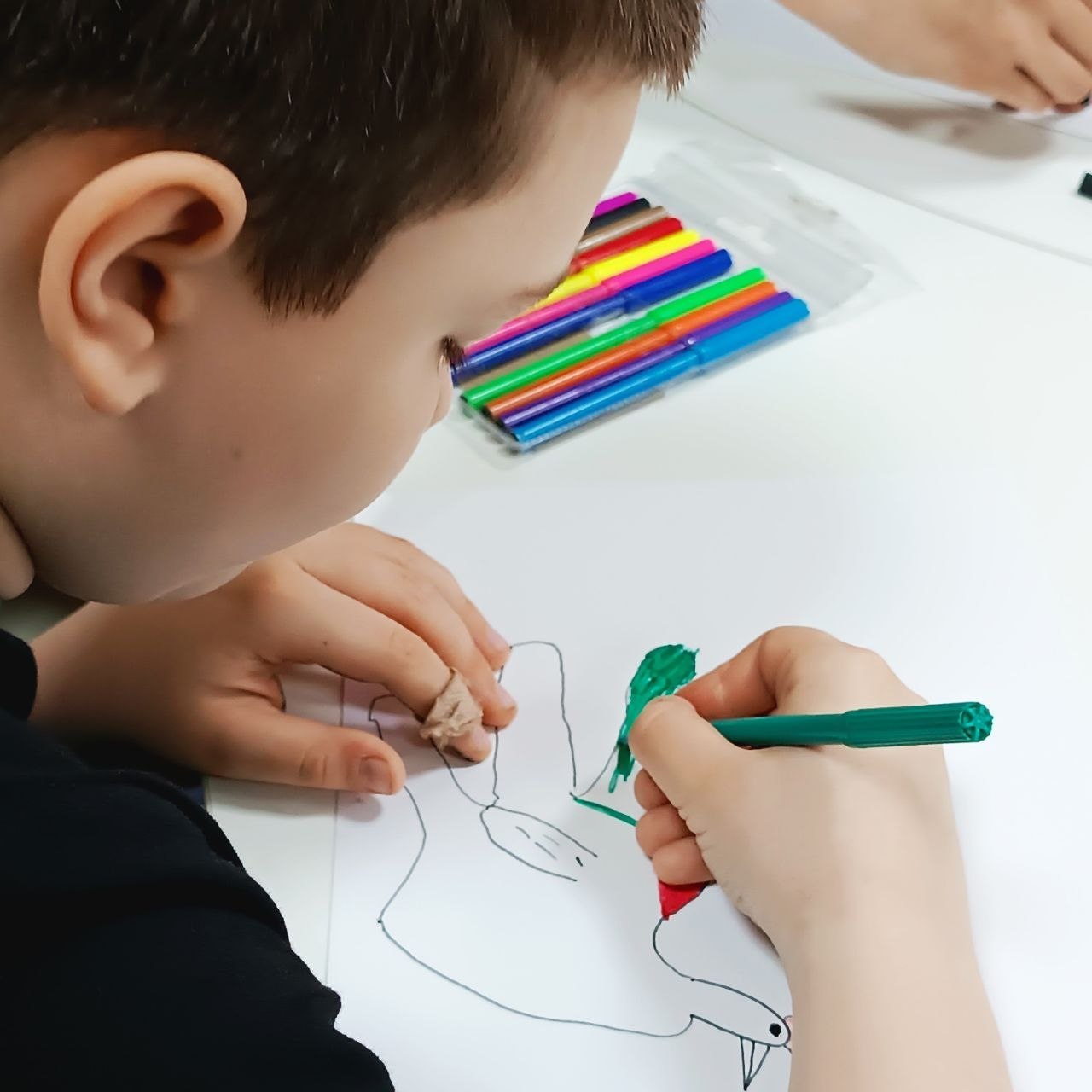 Экологическая игра «Знатоки птиц» Экологическая игра «Знатоки птиц»