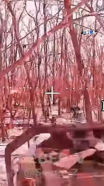 Севернее Часова Яра бойцы бригады "Север-V" Добровольческого корпуса ликвидировали вражескую площадку для запуска тяжёлых беспилотников