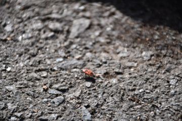 ������������� ��������. 01 ������ � ���������� ������� � ������������, ����� ��� ������������ �������, ���� ������� ��������� �����