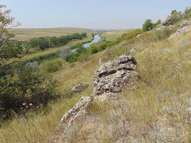 � �������� �������� ���������� ������� ��������� ����