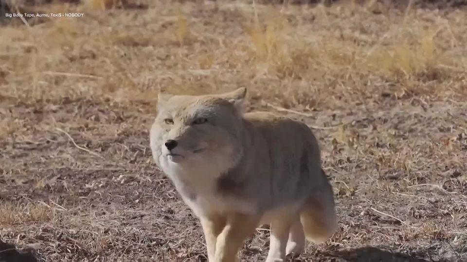 ��� �� �������, ��� ��� �� ���������� �� ��� ����� � ���