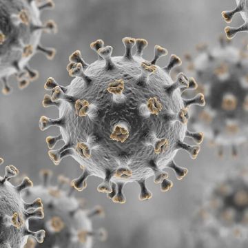 ���� �������: �� ������������� ����������� �� ������������� ������