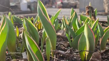 ����� ��������: �������� ���!. #�������� #������������������ #���������������