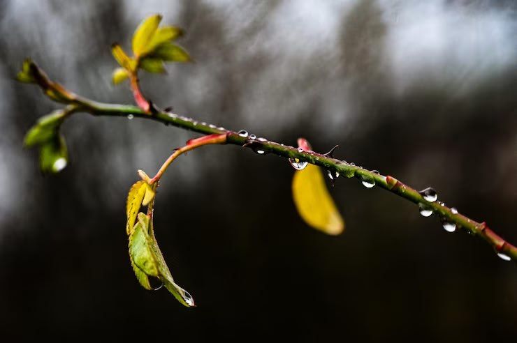 ������ ��������: ������������� ��������. 02 ������ ���������� ���������� ����������, ����� ������� ��������� �����, ���� ��� ������������ �������