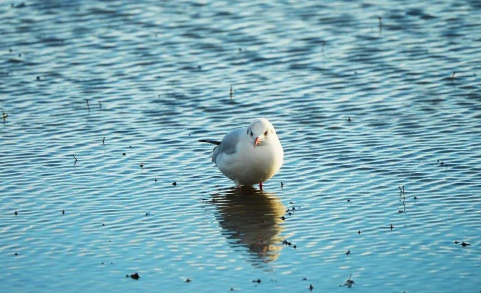 ������������� �����. �������� ����� ����� ���������� �� ������������ ��� - �������� ��������� ��������