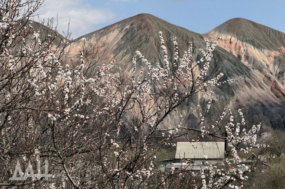 В «Сколково» предложили добывать редкоземы из терриконов Донбасса