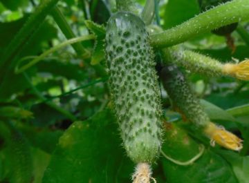 23 ����� 2026 ���� ������������ ����������� ������ �������� �������� ���������� � ����� ���������� ����������������� �� �������� �������� ���������� � ��������� �������� ���������� ���������� ��� ������������ ��������� ����...