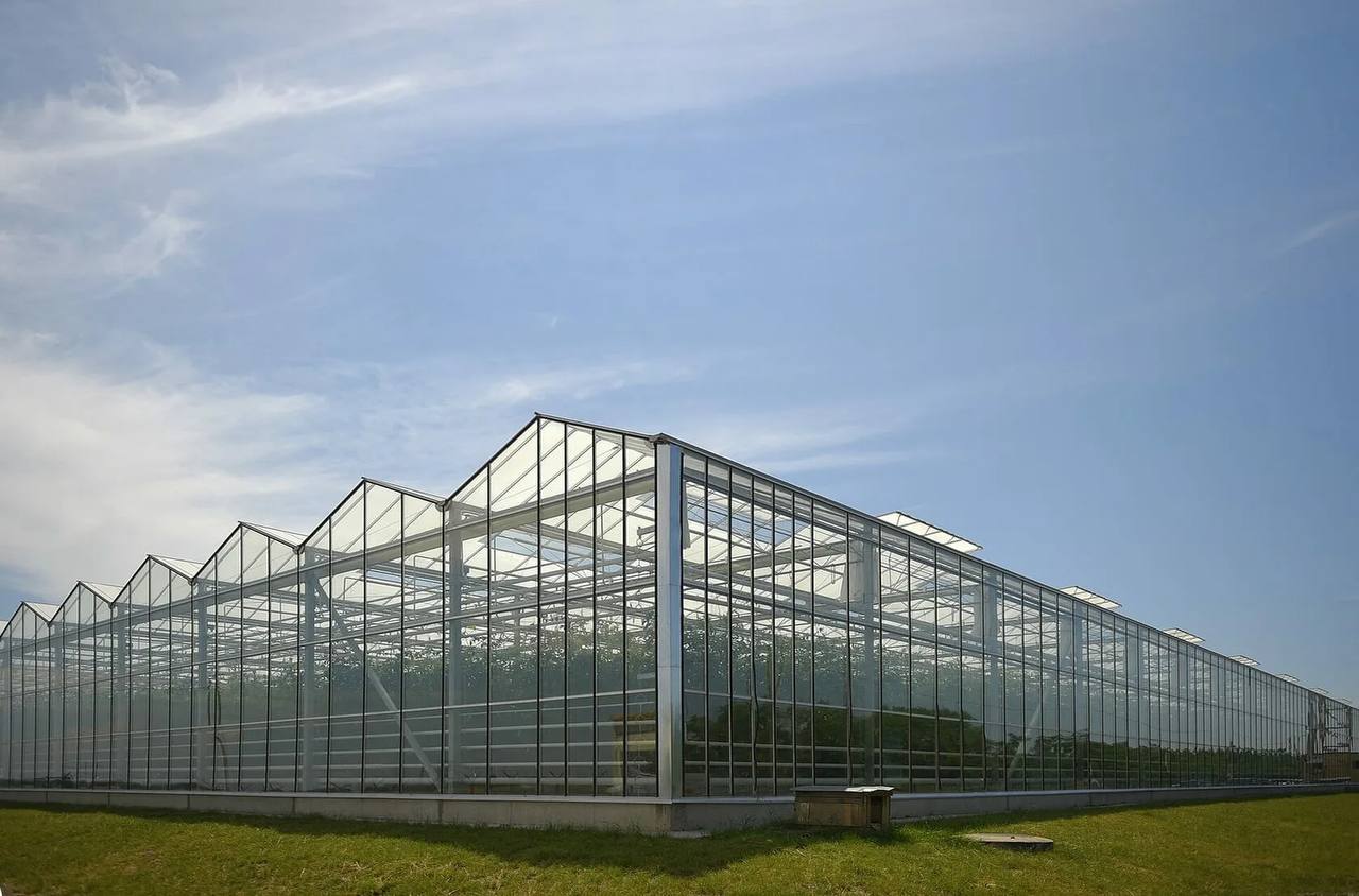 Виктория Мельникова: Друзья, собрала для вас все самые важные новости большой стройки под названием Донбасс Виктория Мельникова: Друзья, собрала для вас все самые важные новости большой стройки под названием Донбасс