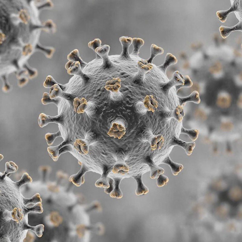 ���� �������: �� ������������� ����������� �� ������������� ������