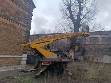 ����������� ����������������� ������� ������������ ������� �� ���������� ���������������� ������ (���) ��������� ������ �� �������� ������� ������ �� ������: ��. ����������, �. 8