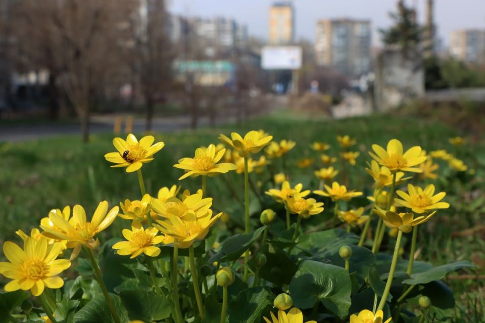 3 апреля в республике переменная облачность, местами небольшие дожди